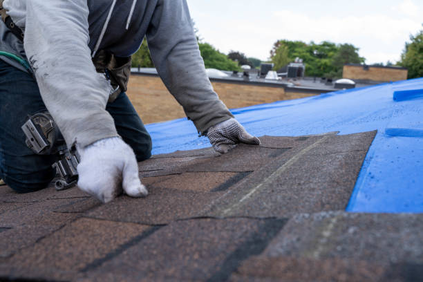 Best Local Roofing Companies  in Marion, PA